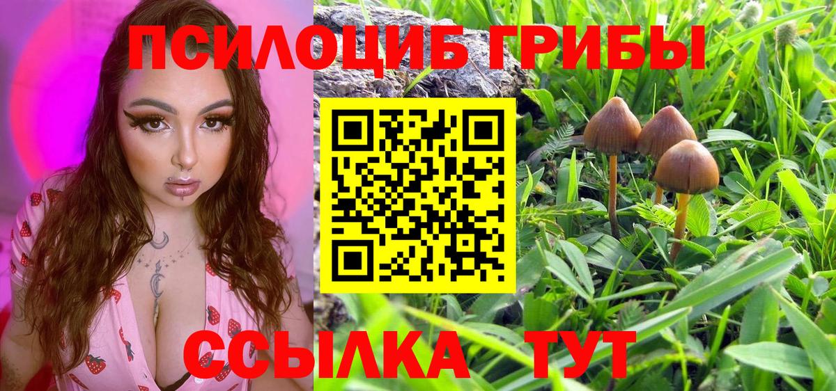 наркота  Вход с VPN  Красноуфимск  Псилоцибиновые грибы мухоморы 