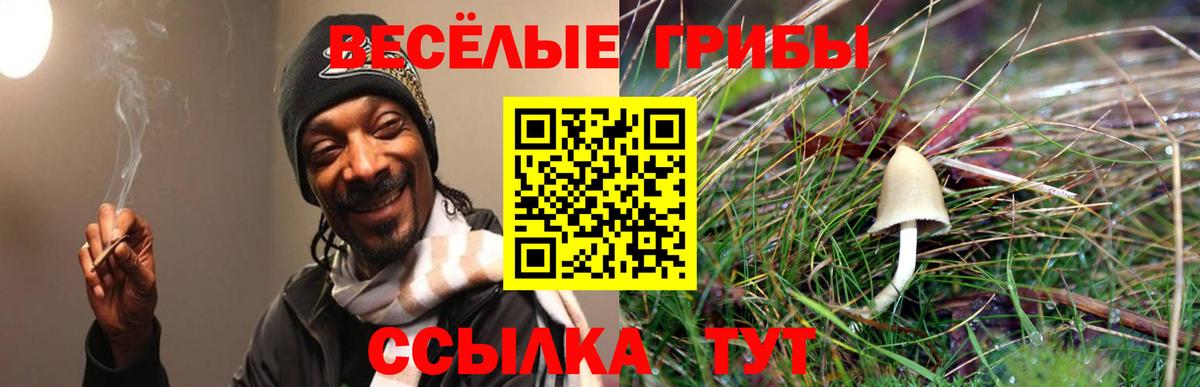 Псилоцибиновые грибы мицелий Красноуфимск